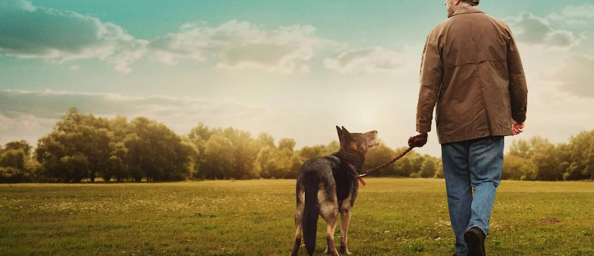 Series Banner