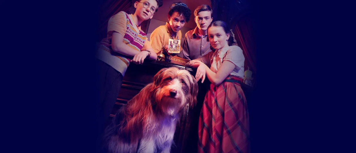 Series Banner